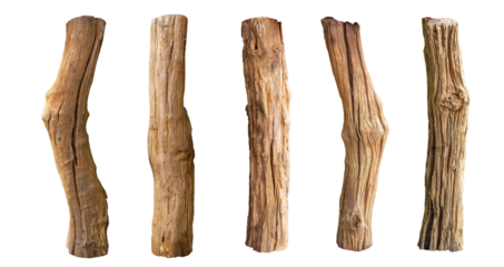 Broken tree branches with detached bark. Rustic wood branch. Weathered driftwood log isolated. Willow log isolate	