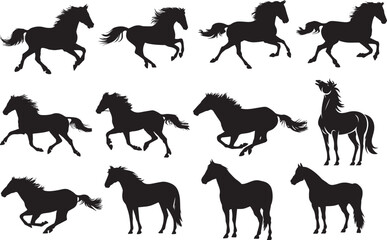 Horse silhouettes vector set, Different pose of vearious running horse silhouettes, Black horse hand-drawn animal vector.