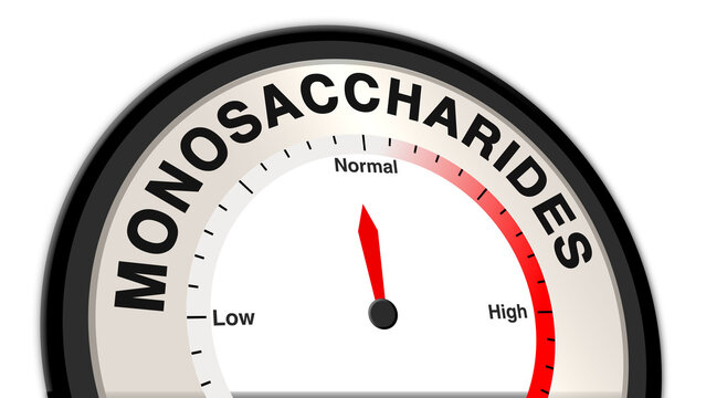 Monosaccharides at normal levels, displayed on a barometer or tachometer, illustrating balanced simple sugar presence, steady energy, and healthy dietary intake supporting wellness