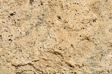 A close-up view of a light beige, porous rock surface with irregular texture and small dark inclusions, suitable as a natural background or wall cladding