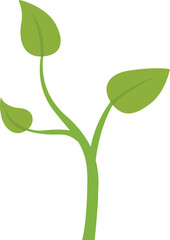 Small plant growing upwards with light green leaves, representing concepts like growth, nature, and environmentalism
