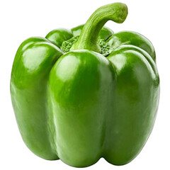 Fresh vibrant green bell pepper isolated on a solid background for culinary use