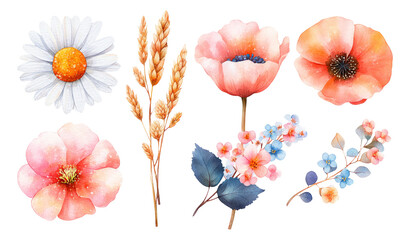 Elegant Watercolor Floral Collection with Isolated Flowers on Transparent Background