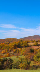 autumn landscape in the mountains