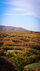 autumn landscape in the mountains