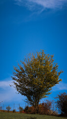 autumn landscape in the mountains