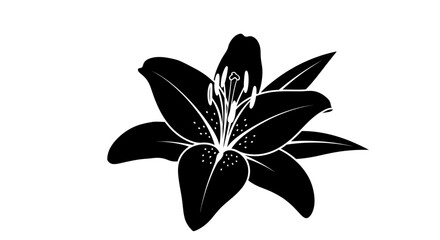 A simple black and white illustration of a lily flower in bloom