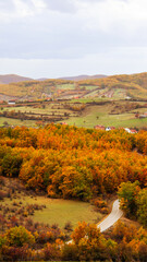 autumn landscape in mountains