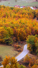 autumn landscape in mountains