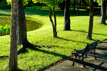 Peaceful park scene with bench near pond in lush green landscape