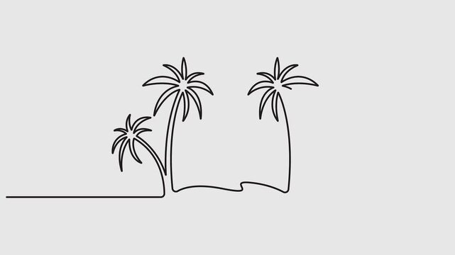 Video. Palm tree in one continuous line drawing. Full length one line minimalistic 4K animation video