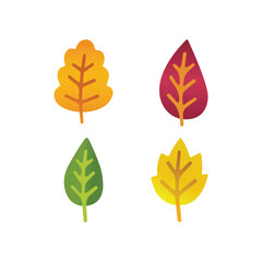vector set of colorful autumn leaves and floral elements, vector set of autumn leaves, set of autumn leaves, set of leaves, Colorful autumn and spring leaves vector illustration on white background, 