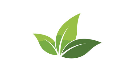 Fototapeta premium Three green leaves arranged in a stylized, symmetrical pattern against a white background.