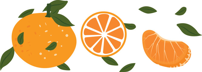 Fruit mandarin isolated on white background