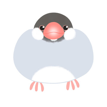 ぶんちょう Images – Browse 85 Stock Photos, Vectors, and Video