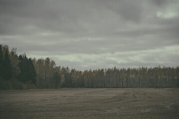 gray agricultural field and autumn forest ahead