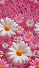 pink and white daisies