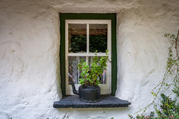Green window on the white wall of Irish cottage with flowers on windowsill. Plant in an old teapot on a windowsill. Ireland.