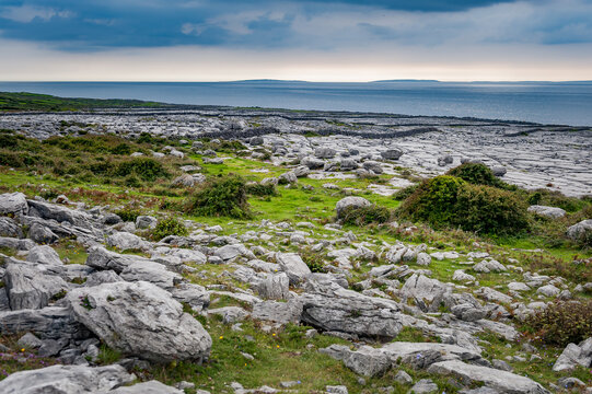 Limestone coast with ocean. Exposed karst limestone bedrock at the Burren National Park. Ireland.