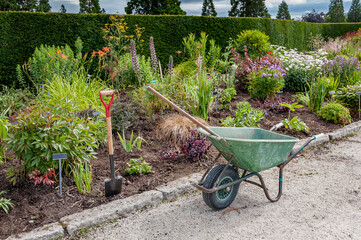 Work in garden. A wheelbarrow with a shovel against the background of a blossoming garden.