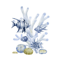 Watercolor Illustration of Underwater Scene with Striped Fish, White Coral, Sea Shells, and Sea Urchins Representing Marine Biodiversity
