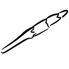 asparagus aesthetic seafood fish doodle for restaurant menu