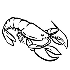 lobster aesthetic seafood fish doodle for restaurant menu