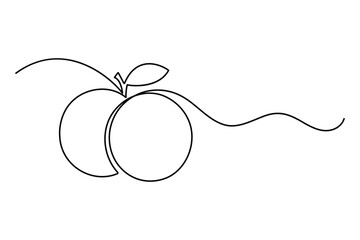 
Orange fruit continuous one line drawing minimalist outline vector illustration