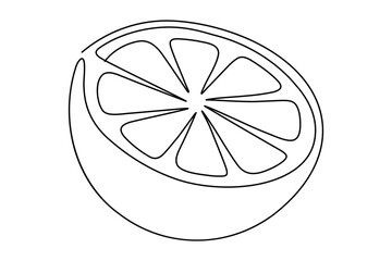 
Orange fruit continuous one line drawing minimalist outline vector illustration