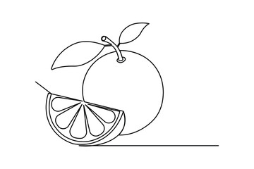 
Orange fruit continuous one line drawing minimalist outline vector illustration