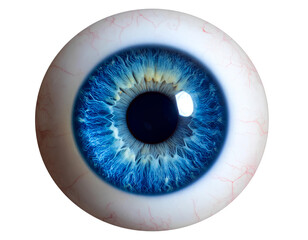 Highly detailed blue human eyeball with realistic iris texture, pupil, and light reflections, isolated on a transparent background. Perfect for anatomy, medical visuals.