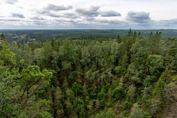 Landscape view over green forest from Taberg Topp in Sweden