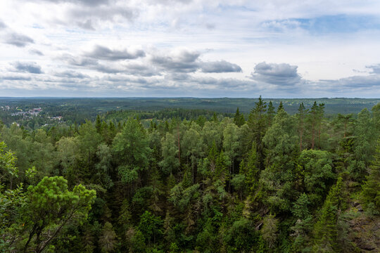 Landscape view over green forest from Taberg Topp in Sweden