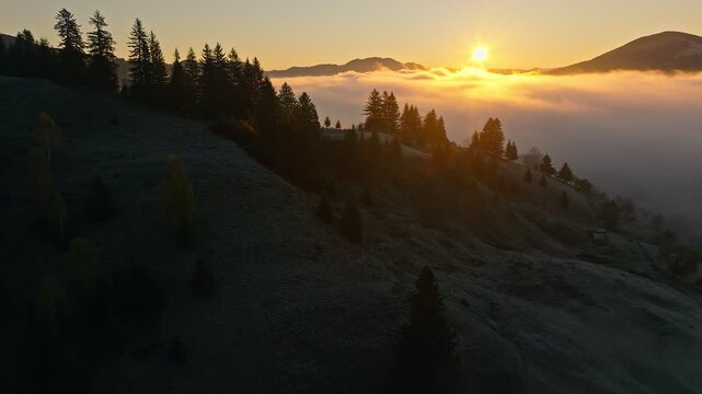 Stunning Sunrise Over Misty Valley: Nature's Beauty