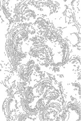 Porous biological tissue consisting of open outlined voids arranged in a sponge-like organic structure.