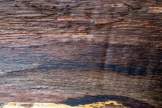 old wood background