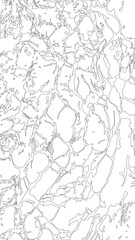 Fototapeta premium Irregular cell network featuring asymmetrical interconnected outlines that resemble uneven biological compartments.