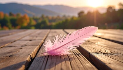A delicate pink feather rests on weathered wooden planks, bathed in warm sunlight against a blurred backdrop of trees and mountains