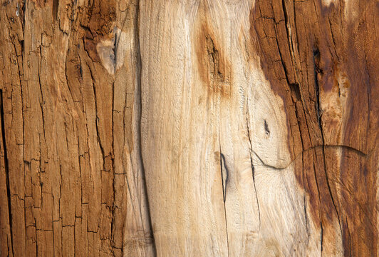old wood background