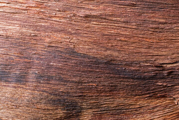 wood texture background