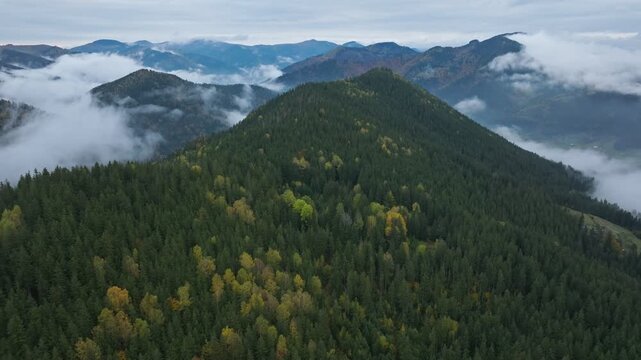 Serene Mountain Landscape with Lush Green Forests and Mist