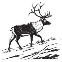 silhouette of a deer