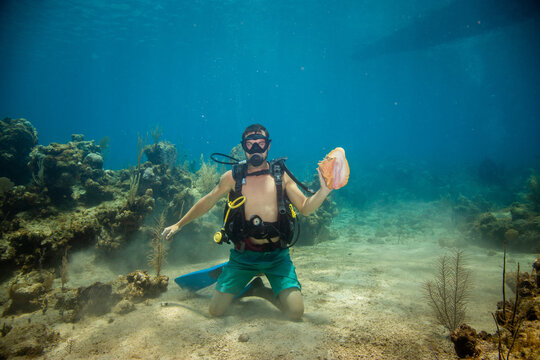 Scuba diver wearing swimming trunks sitting on the seabed holding a giant conch shell, Roatan, Honduras