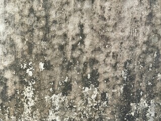Abstract grunge old concrete wall texture background 