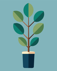 Rubber plant in blue pot with blue background, vector illustration design girl avatar