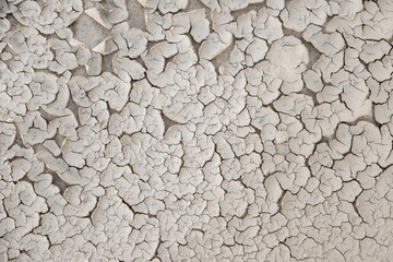 Dry cracked soil surface forms abstract natural pattern under sunlight. Texture shows drought effect and desiccation process symbolizing heat, climate change and environmental stress