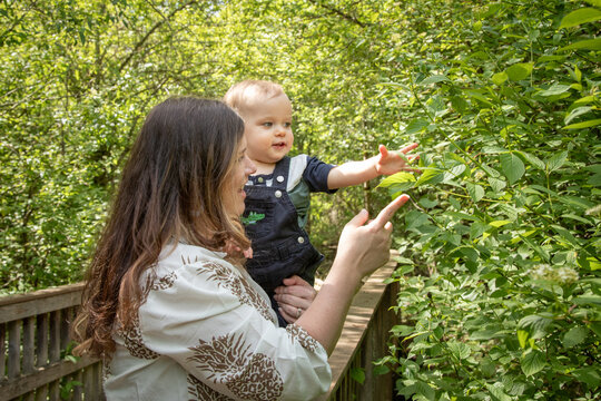 Woman standing on a wooden bridge with her young son pointing and looking at trees in a forest, Florida, USA