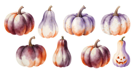 set of fresh vegetables, pumpkins