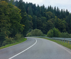 Naklejka premium Beautiful view of green trees and asphalt road