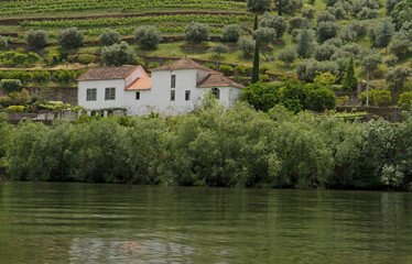 Villa and vineyards  in the Douro Valley 